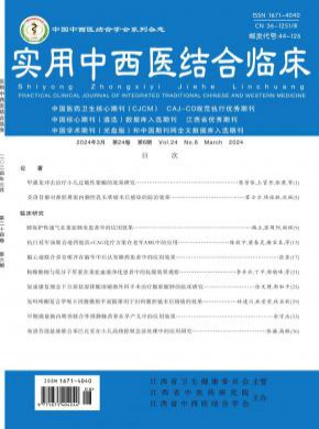 实用中西医结合临床期刊